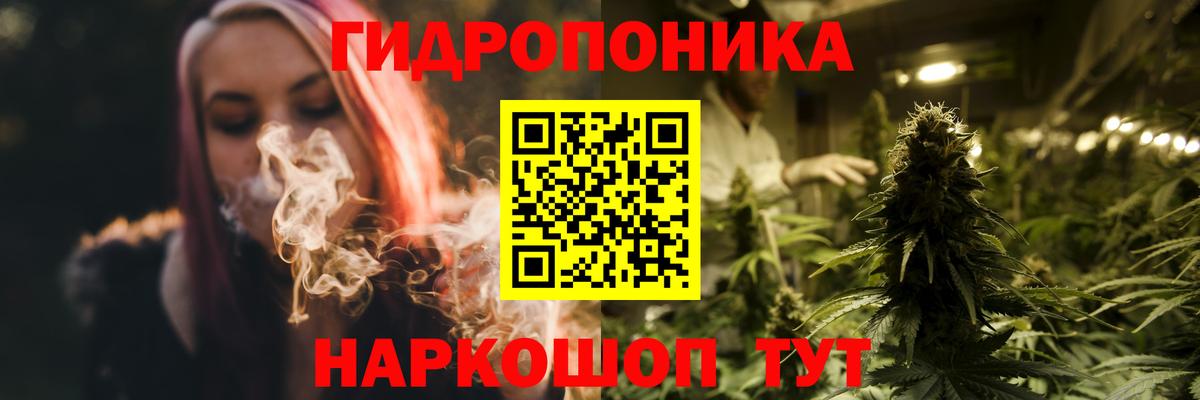 Бошки Шишки индика  Вход с VPN  Камышлов  Каннабис ГИДРОПОН 
