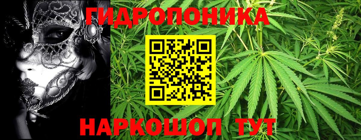 Каннабис White Widow Камышлов